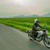KAWASAKI W800 2026 MAXMOTO