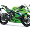 KAWASAKI NINJA ZX-4RR MAXMOTO